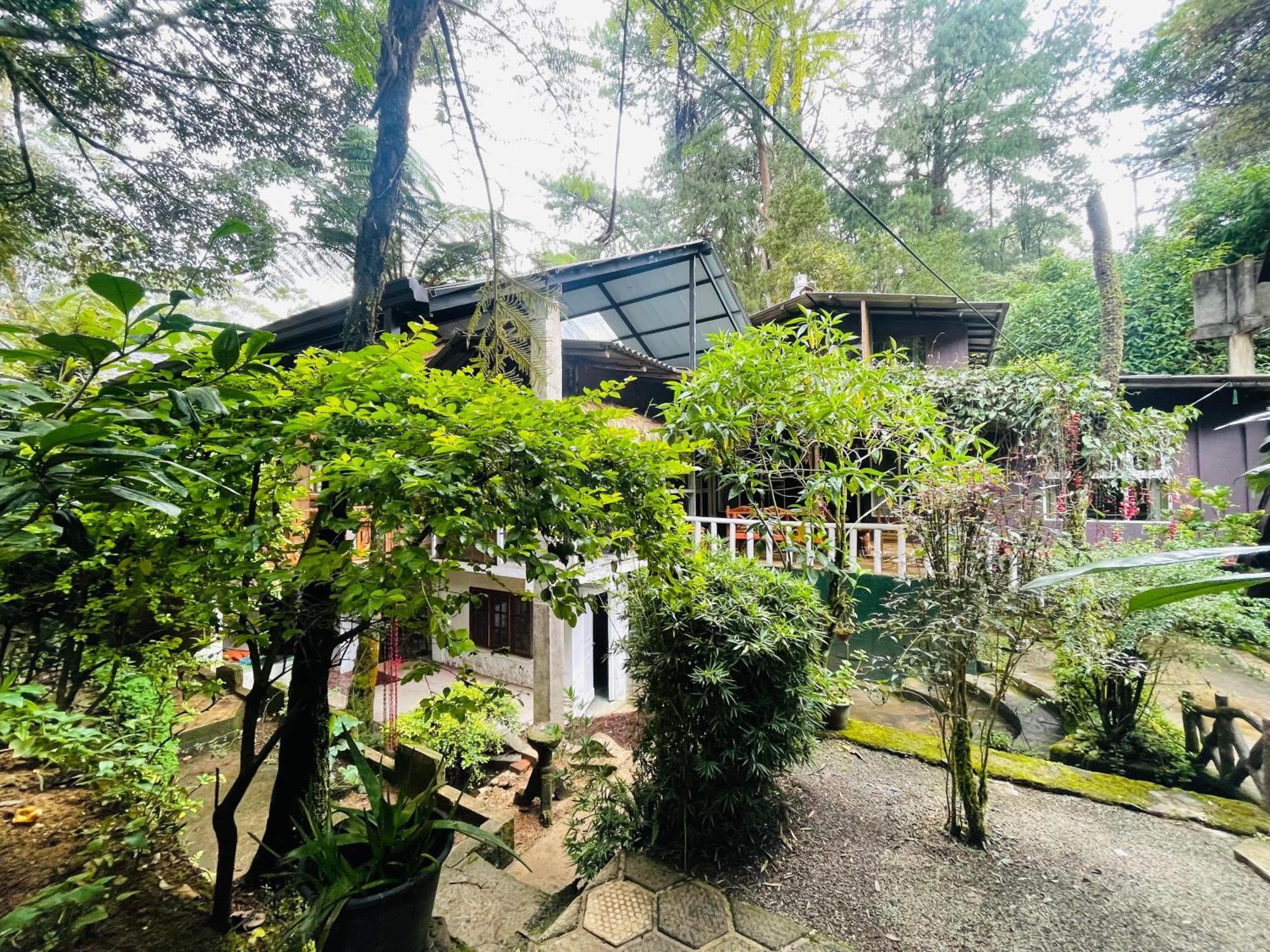 King Fern Cottage ヌワラ・エリヤ エクステリア 写真