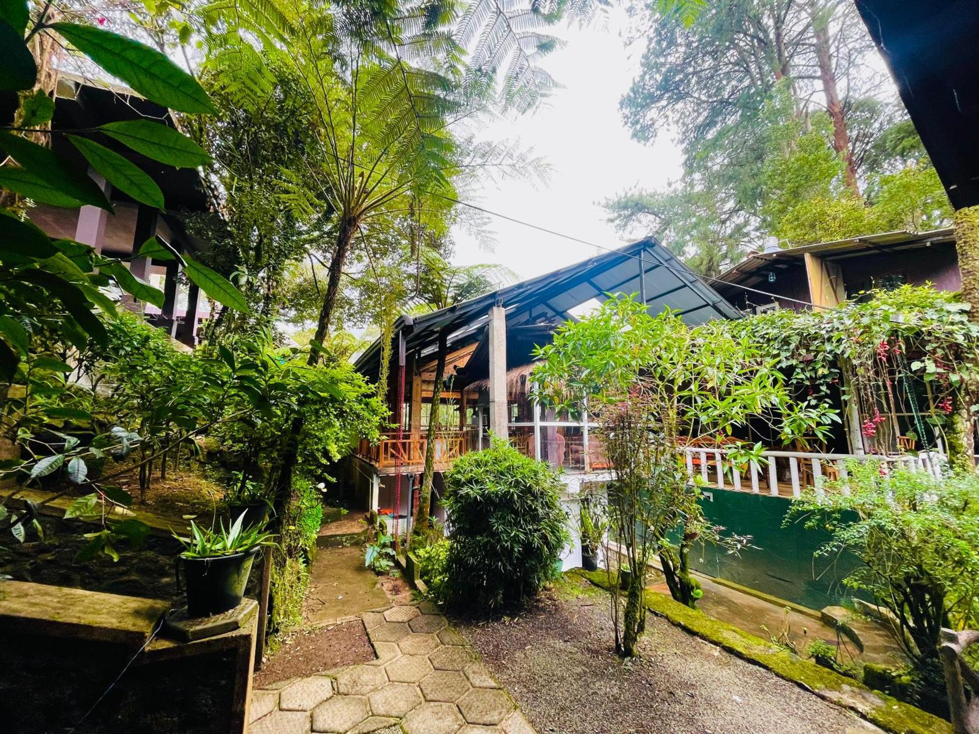 King Fern Cottage ヌワラ・エリヤ エクステリア 写真