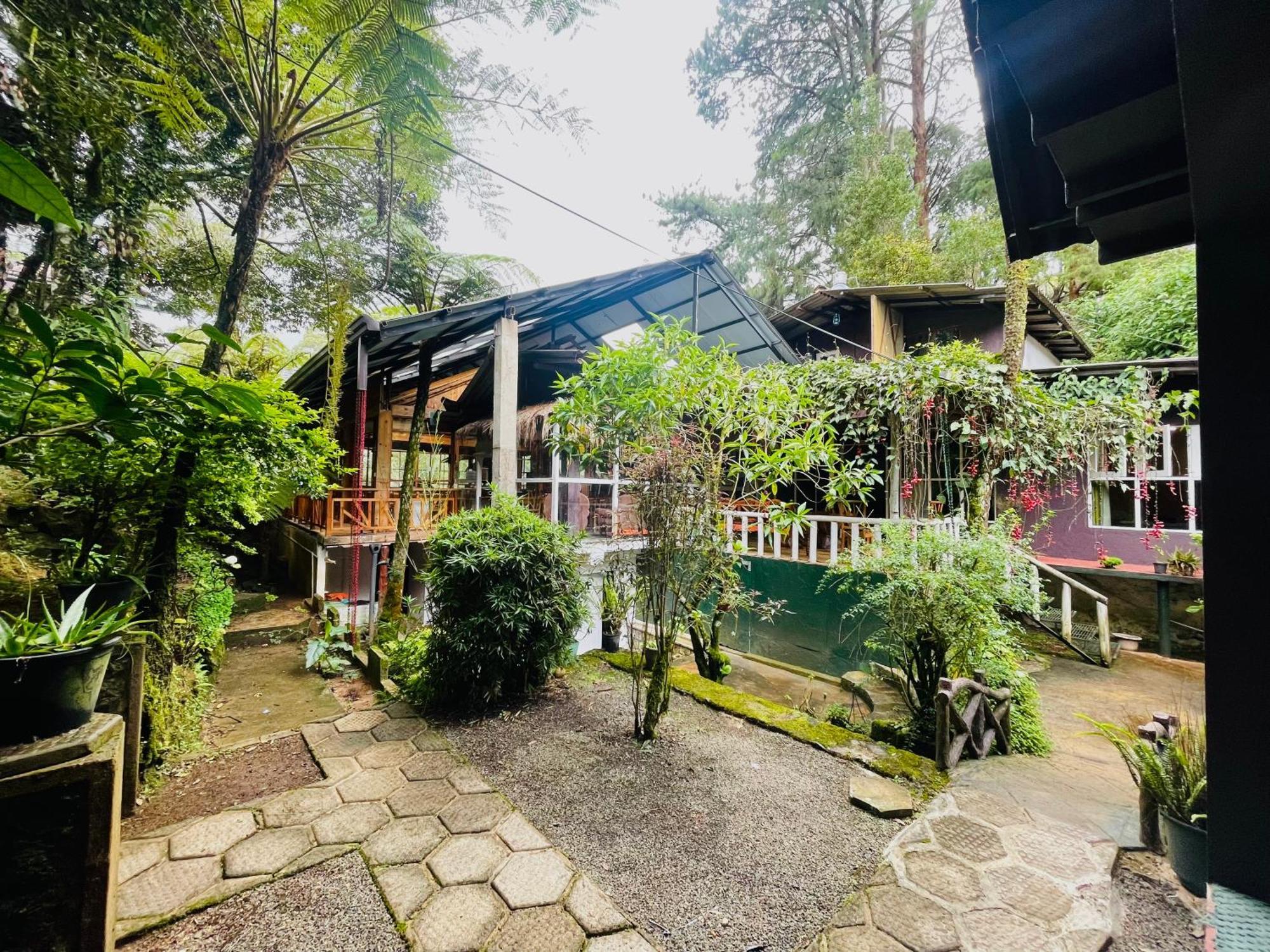 King Fern Cottage ヌワラ・エリヤ エクステリア 写真