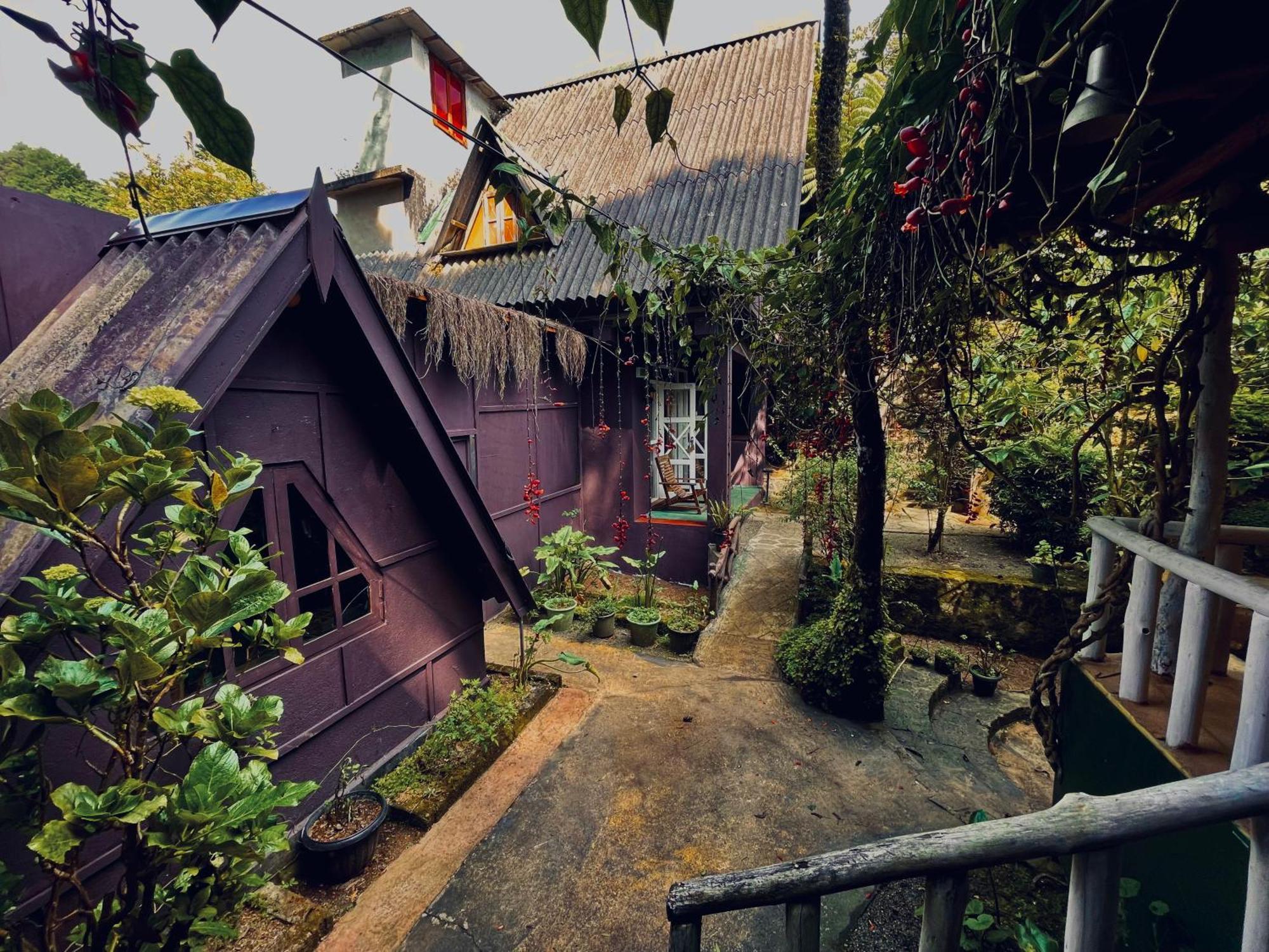 King Fern Cottage ヌワラ・エリヤ エクステリア 写真