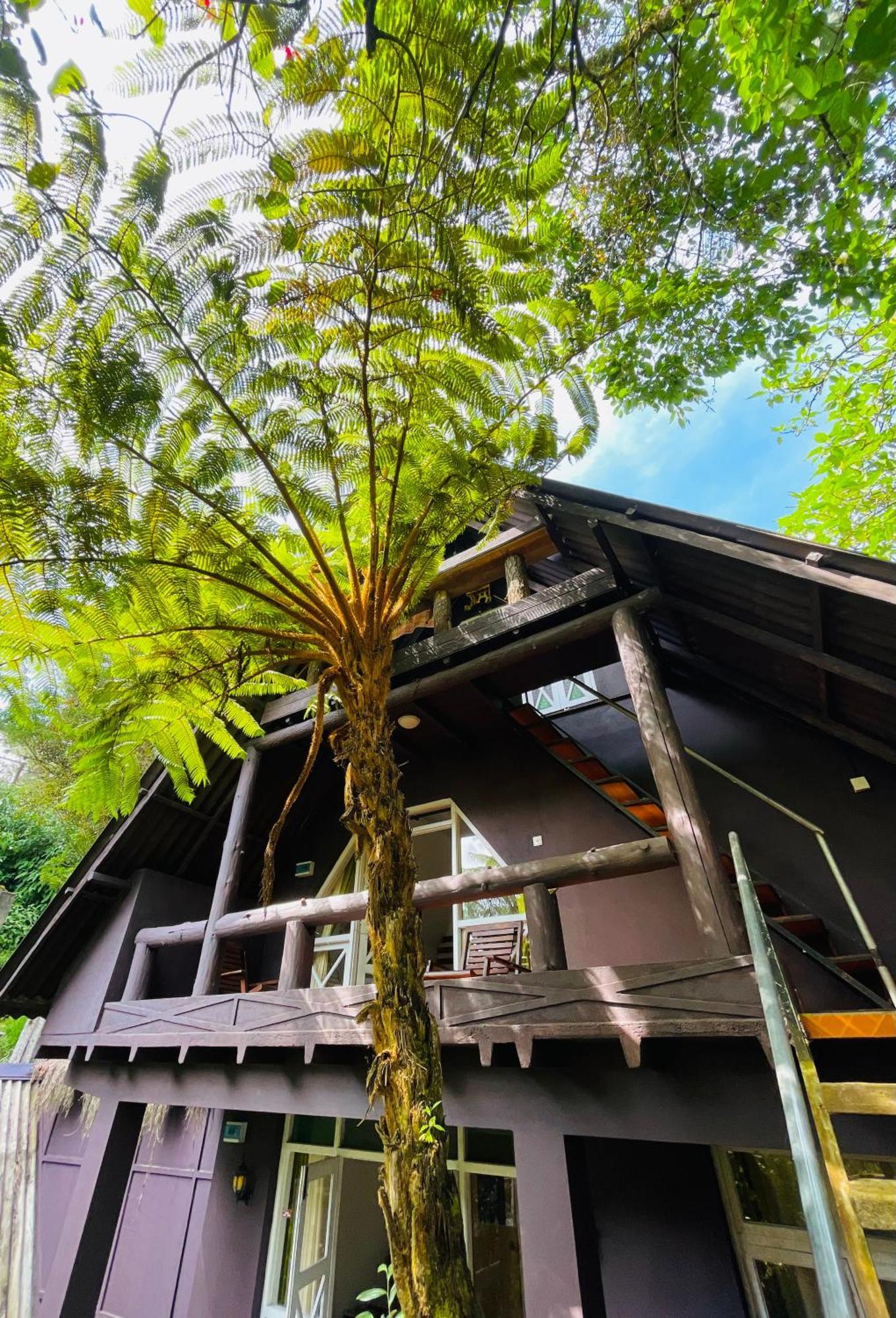 King Fern Cottage ヌワラ・エリヤ エクステリア 写真